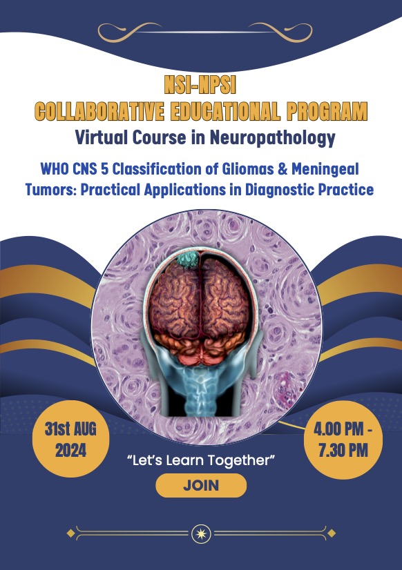 NSI–NPSI Collaborative Educational Program